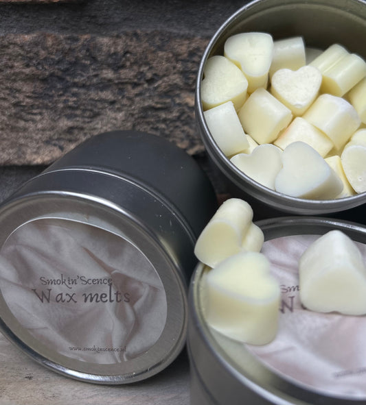 Anti insect wax melts